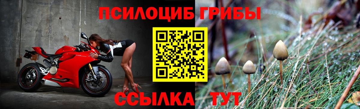 Галлюциногенные грибы Psilocybe  Вход с VPN  Ухта 